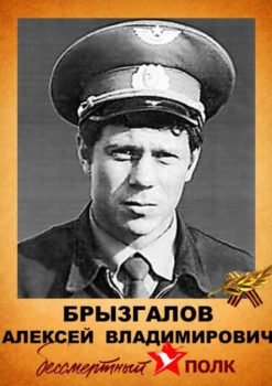 Брызгалов А.В.